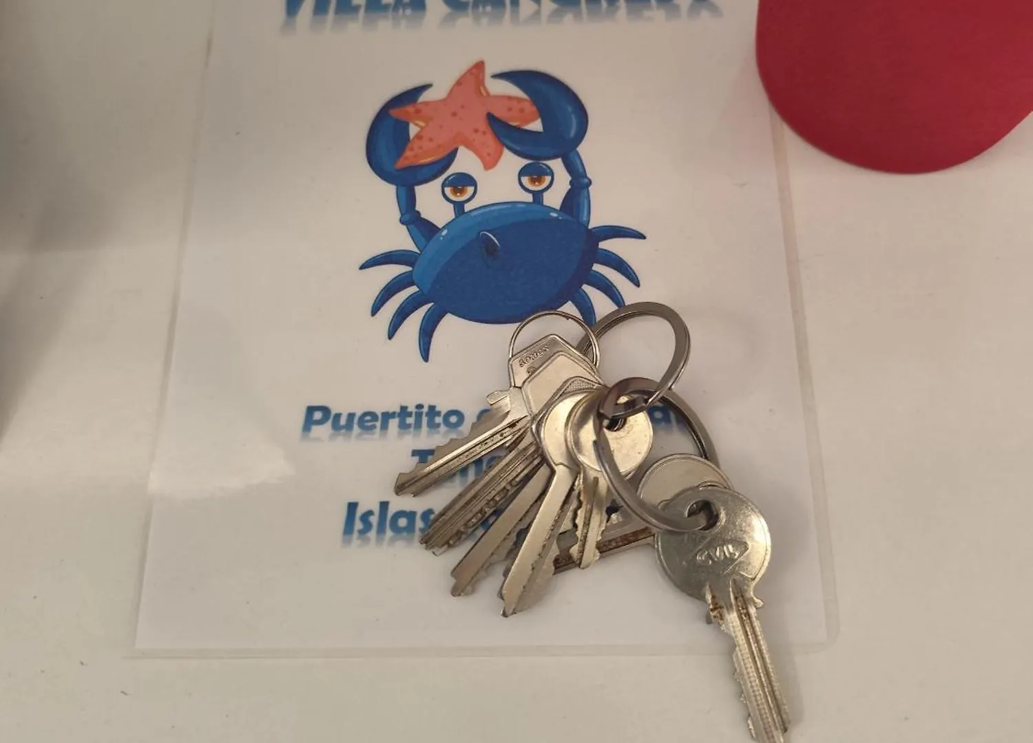 Piso Nuevo En El Puertito De Gueimar Al Lado Del Mar Realizamos Servicio De Excursiones Con Guia Puertito de Guimar Apartamento